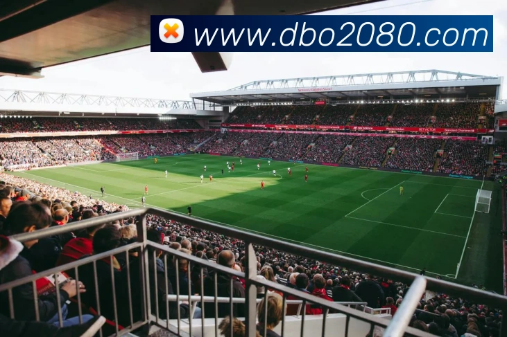 多彩内容专区